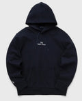 Polo Ralph Lauren Chain Stitch Logo Hoodie Navy